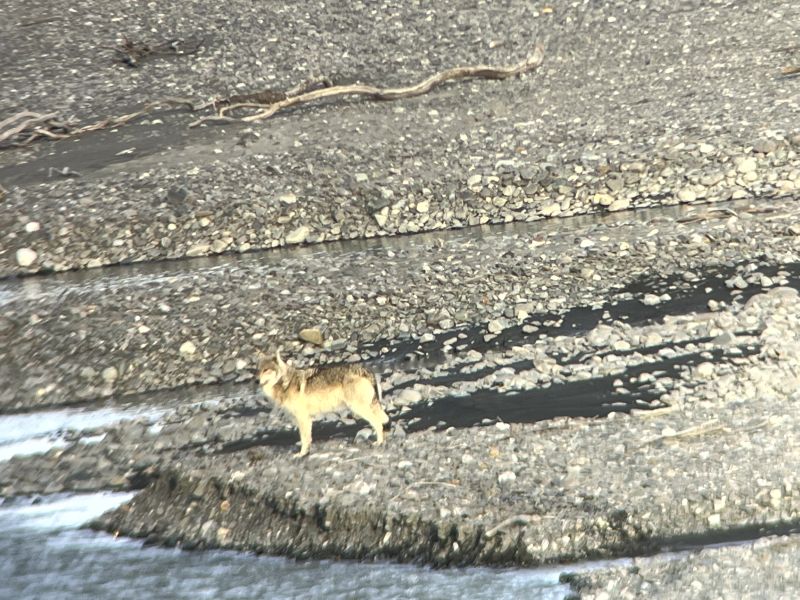 The Alaska summit is over: The next steps and what happens now to Ukraine