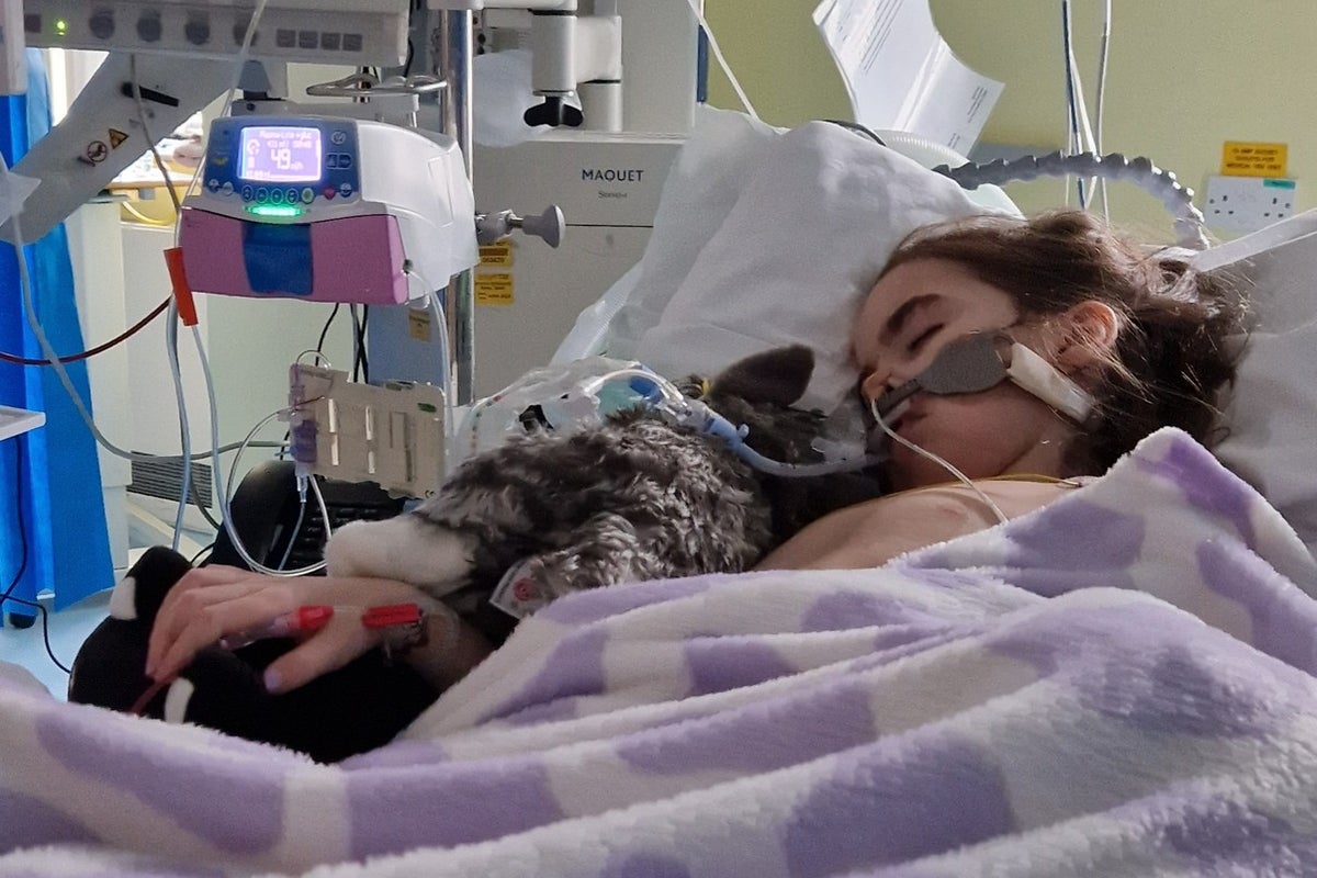 Girl Left Paralyzed After Sudden Illness