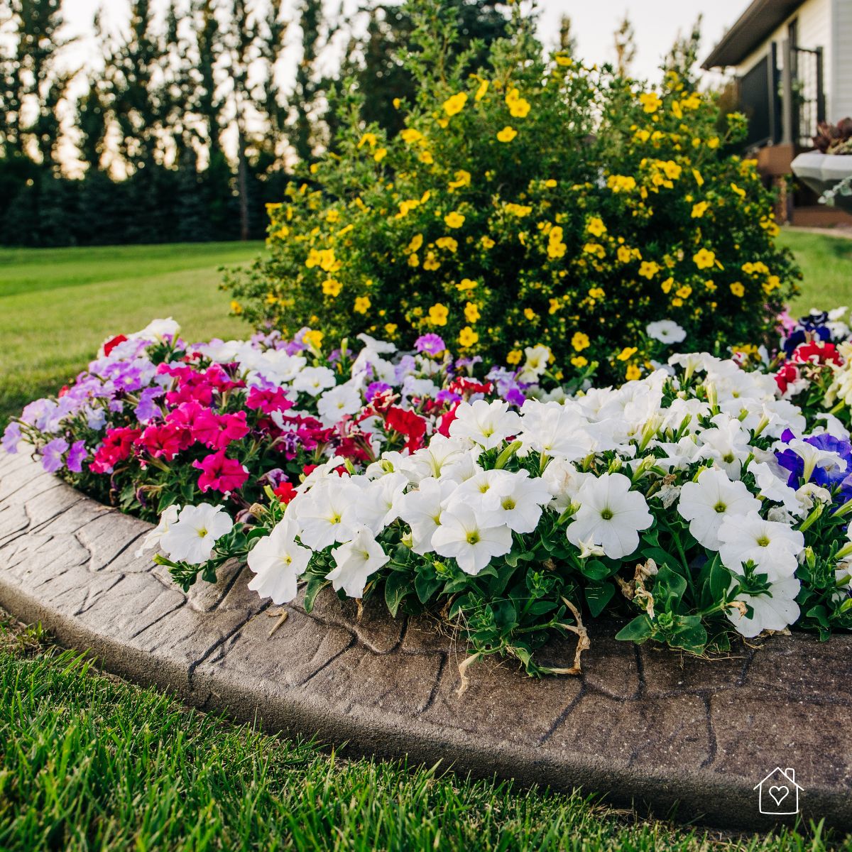 Easy Weekend Landscaping Ideas on a Budget